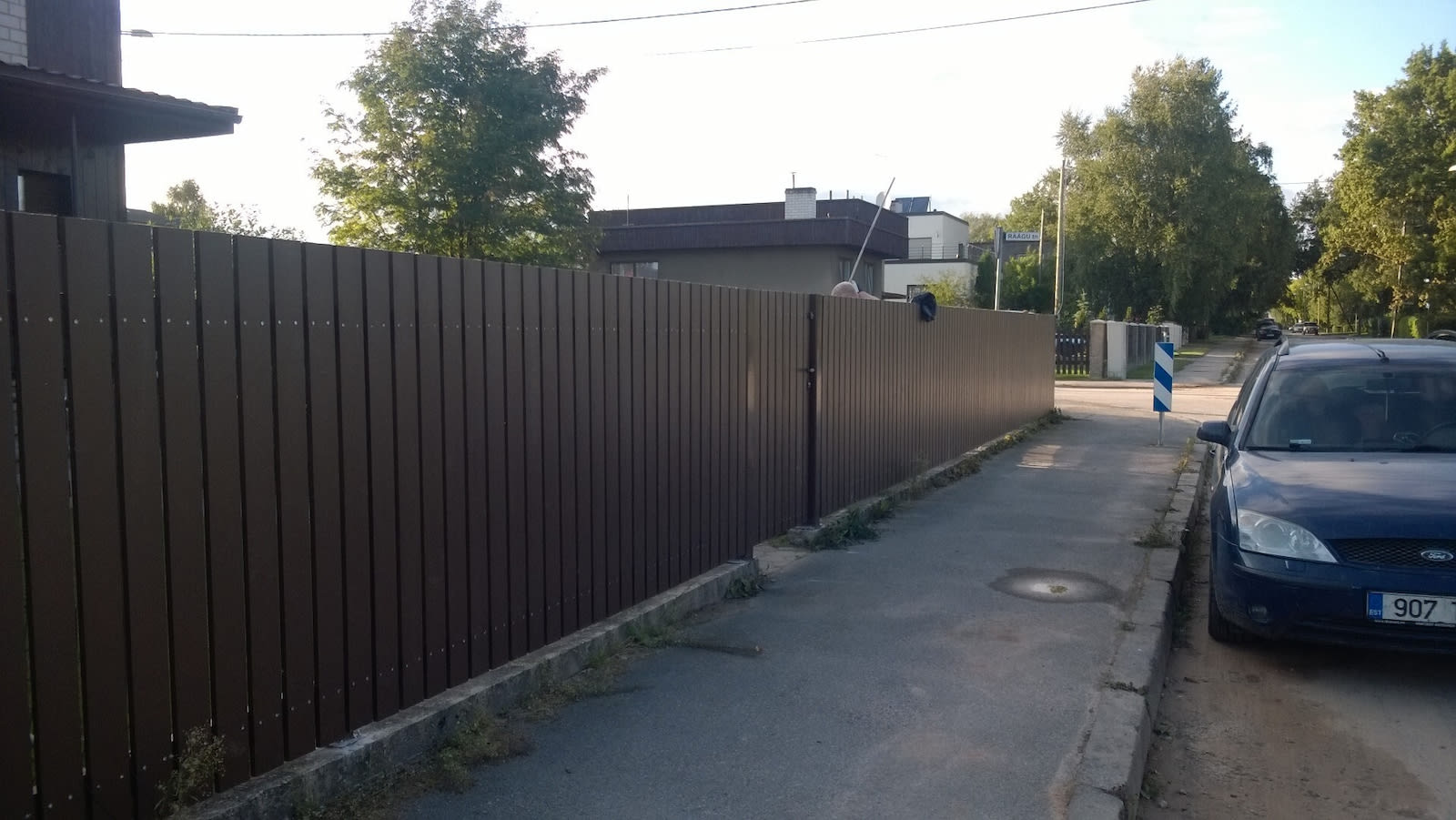 Vertikaalne puitaed